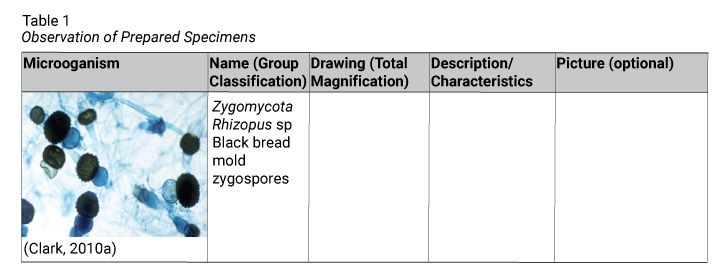 Example of a scientific table.